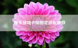 魔卡领域卡组固定搭配推荐