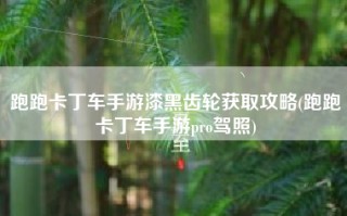 跑跑卡丁车手游漆黑齿轮获取攻略(跑跑卡丁车手游pro驾照)