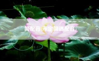 简配音(未定简遇配音)