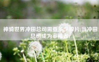 神骑世界冲田总司需要多少碎片(当冲田总司成为审神者)