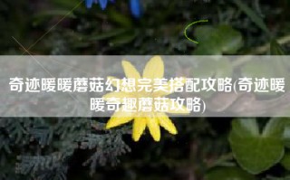 奇迹暖暖蘑菇幻想完美搭配攻略(奇迹暖暖奇趣蘑菇攻略)