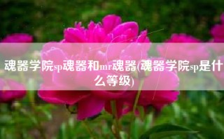 魂器学院sp魂器和mr魂器(魂器学院sp是什么等级)