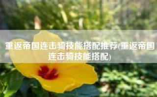 重返帝国连击骑技能搭配推荐(重返帝国连击骑技能搭配)