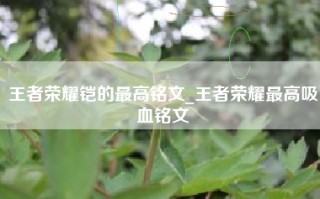 王者荣耀铠的最高铭文_王者荣耀最高吸血铭文
