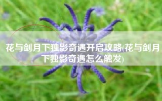 花与剑月下独影奇遇开启攻略(花与剑月下独影奇遇怎么触发)