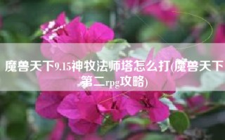 魔兽天下9.15神牧法师塔怎么打(魔兽天下第二rpg攻略)