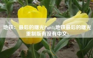 地铁：最后的曙光Part1(地铁最后的曙光重制版有没有中文)