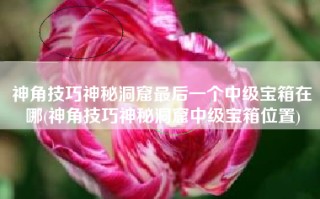 神角技巧神秘洞窟最后一个中级宝箱在哪(神角技巧神秘洞窟中级宝箱位置)