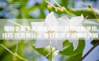 猫和老鼠手游猫咪角色托普斯技能使用技巧 托普斯玩法(猫和老鼠手游猫咪汤姆)
