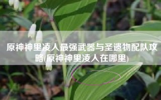 原神神里凌人最强武器与圣遗物配队攻略(原神神里凌人在哪里)