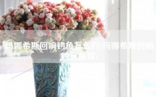 玛娜希斯回响钓鱼怎么钓(玛娜希斯回响钓鱼鱼饵)