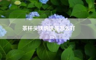 茶杯头沃纳沃曼怎么打