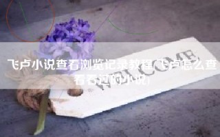 飞卢小说查看浏览记录教程(飞卢怎么查看看过的小说)