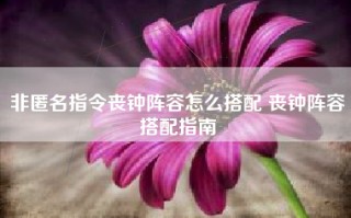 非匿名指令丧钟阵容怎么搭配 丧钟阵容搭配指南