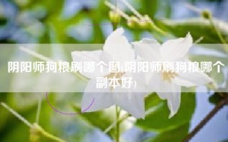 阴阳师狗粮刷哪个图(阴阳师刷狗粮哪个副本好)