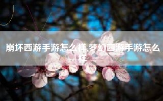 崩坏西游手游怎么样,梦幻西游手游怎么样