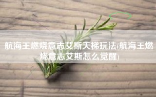 航海王燃烧意志艾斯天梯玩法(航海王燃烧意志艾斯怎么觉醒)