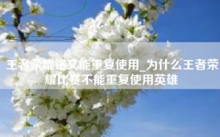 王者荣耀铭文能重复使用_为什么王者荣耀比赛不能重复使用英雄
