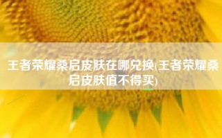王者荣耀桑启皮肤在哪兑换(王者荣耀桑启皮肤值不得买)