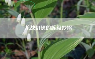 龙战幻想的练级妙招