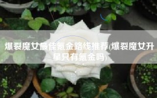 爆裂魔女最佳氪金路线推荐(爆裂魔女升星只有氪金吗)