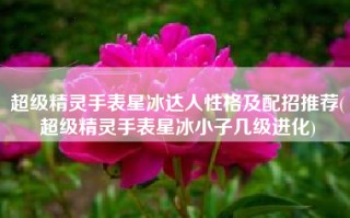 超级精灵手表星冰达人性格及配招推荐(超级精灵手表星冰小子几级进化)