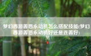 梦幻西游善恶永动机怎么搭配技能(梦幻西游善恶永动机好还是连善好)