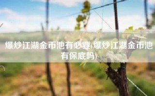 爆炒江湖金币池有必要(爆炒江湖金币池有保底吗)