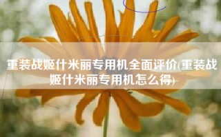 重装战姬什米丽专用机全面评价(重装战姬什米丽专用机怎么得)