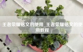 王者荣耀铭文的使用_王者荣耀铭文的使用教程