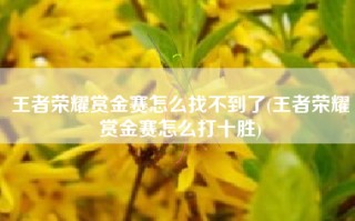 王者荣耀赏金赛怎么找不到了(王者荣耀赏金赛怎么打十胜)