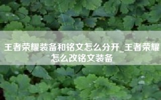 王者荣耀装备和铭文怎么分开_王者荣耀怎么改铭文装备