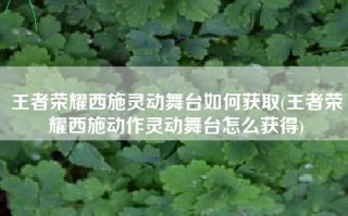 王者荣耀西施灵动舞台如何获取(王者荣耀西施动作灵动舞台怎么获得)