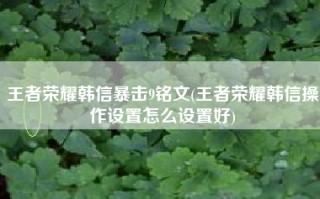 王者荣耀韩信暴击9铭文(王者荣耀韩信操作设置怎么设置好)