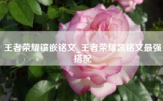 王者荣耀镶嵌铭文_王者荣耀凯铭文最强搭配
