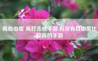 高自由度 高打击感手游,有没有自由度比较高的手游