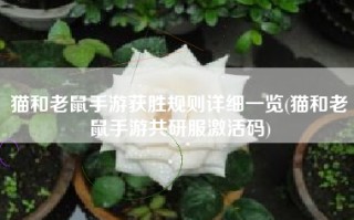 猫和老鼠手游获胜规则详细一览(猫和老鼠手游共研服激活码)