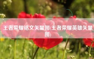 王者荣耀铭文矢量图(王者荣耀英雄矢量图)