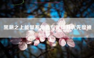 黑潮之上能量系角色专武提升优先度推荐