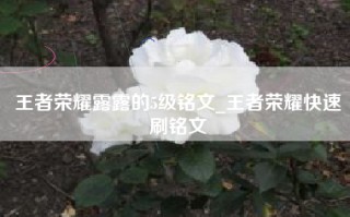 王者荣耀露露的5级铭文_王者荣耀快速刷铭文