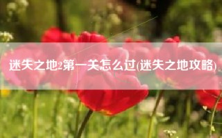 迷失之地2第一关怎么过(迷失之地攻略)