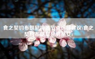 食之契约布朗尼神器节点选择建议(食之契约布朗尼是男是女)