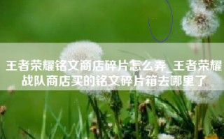 王者荣耀铭文商店碎片怎么弄_王者荣耀战队商店买的铭文碎片箱去哪里了