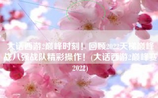 大话西游2巅峰时刻！回顾2022天梯巅峰战八强战队精彩操作！(大话西游2巅峰赛2022)