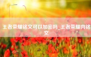 王者荣耀铭文可以加密吗_王者荣耀肉铭文