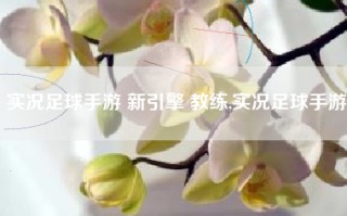 实况足球手游 新引擎 教练,实况足球手游