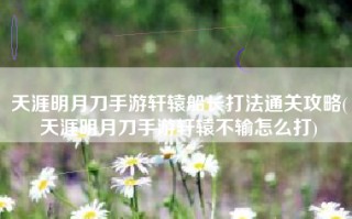 天涯明月刀手游轩辕船长打法通关攻略(天涯明月刀手游轩辕不输怎么打)