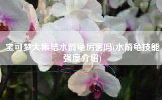 宝可梦大集结水箭龟厉害吗(水箭龟技能强度介绍)