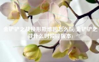 金铲铲之战换形斯维因怎么玩(金铲铲之战什么时候换版本)