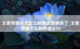 王者荣耀铭文怎么知道全部满级了_王者荣耀怎么知道别人QQ